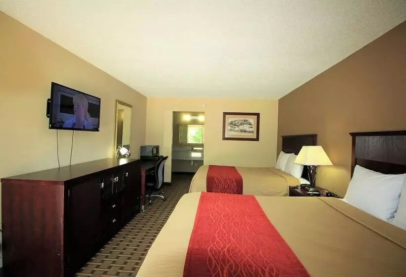 בית מלון כפרי The Night Inn