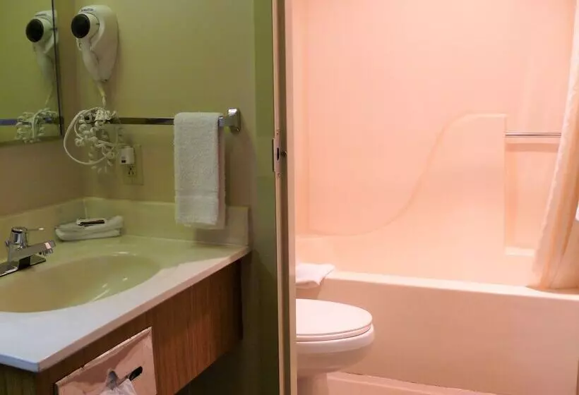 호텔 The Woodridge Inn