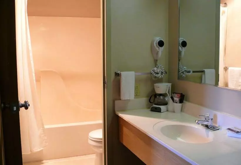 호텔 The Woodridge Inn