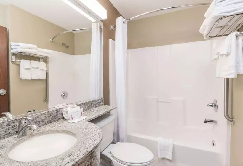 Microtel Inn & Suites By Wyndham Dickinson