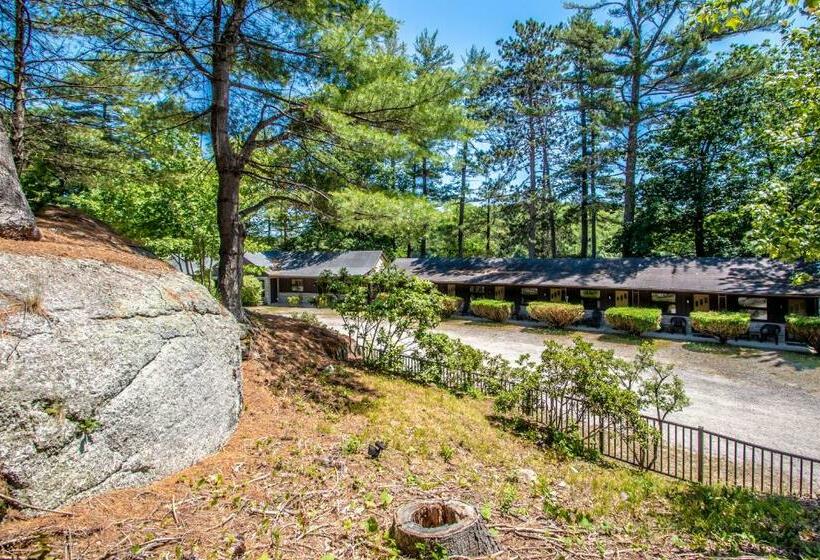 Motel Boulder Suites