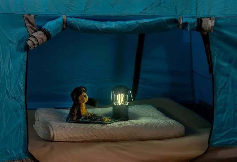 ホテル Acadia Inn