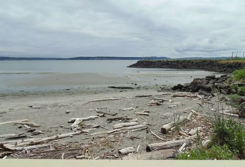 Отель Water Front Inn