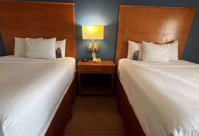 בית מלון כפרי Baymont By Wyndham Brenham