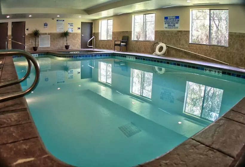 ホテル Best Western Plus Airport Inn & Suites