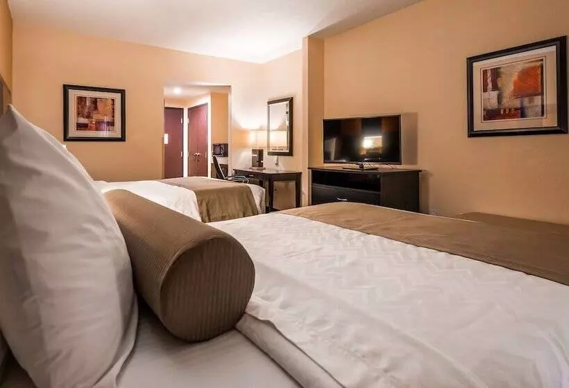 ホテル Best Western Plus Airport Inn & Suites