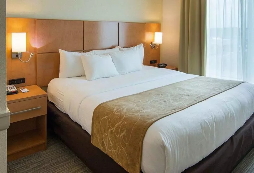 Szálloda Comfort Suites Bossier City Shreveport East