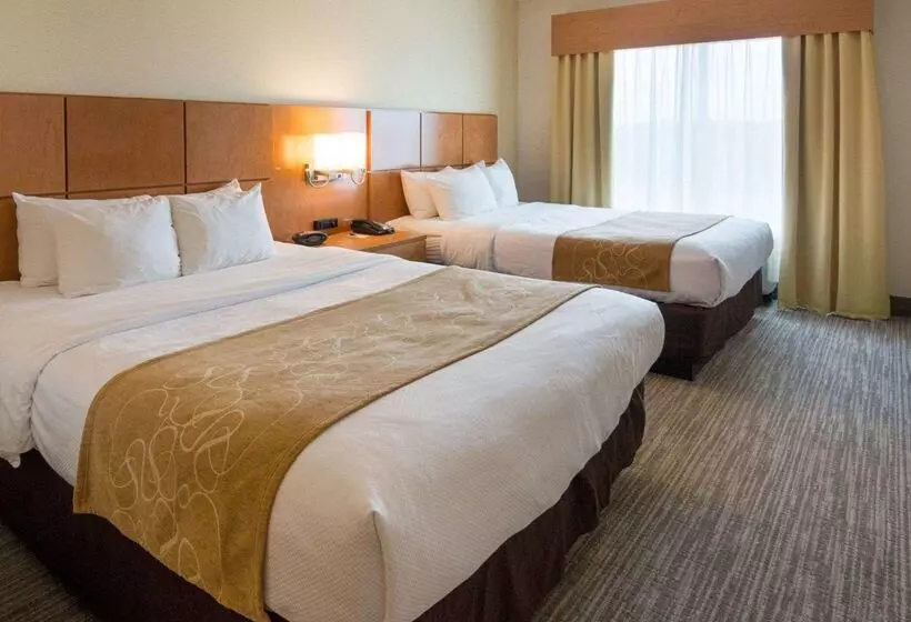 Szálloda Comfort Suites Bossier City Shreveport East