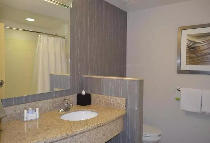 酒店 Courtyard By Marriott Winchester Medical Center