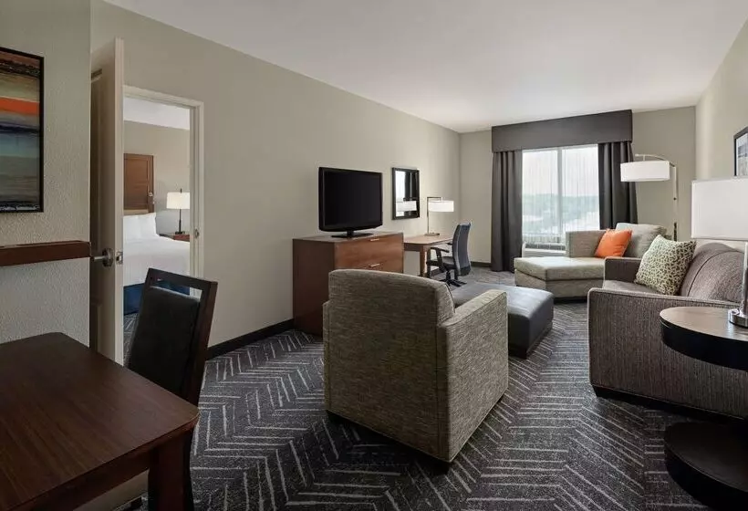 酒店 Homewood Suites Springfield Va