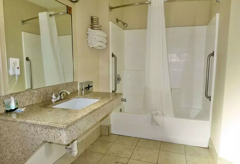 酒店 Rodeway Inn Encinitas North