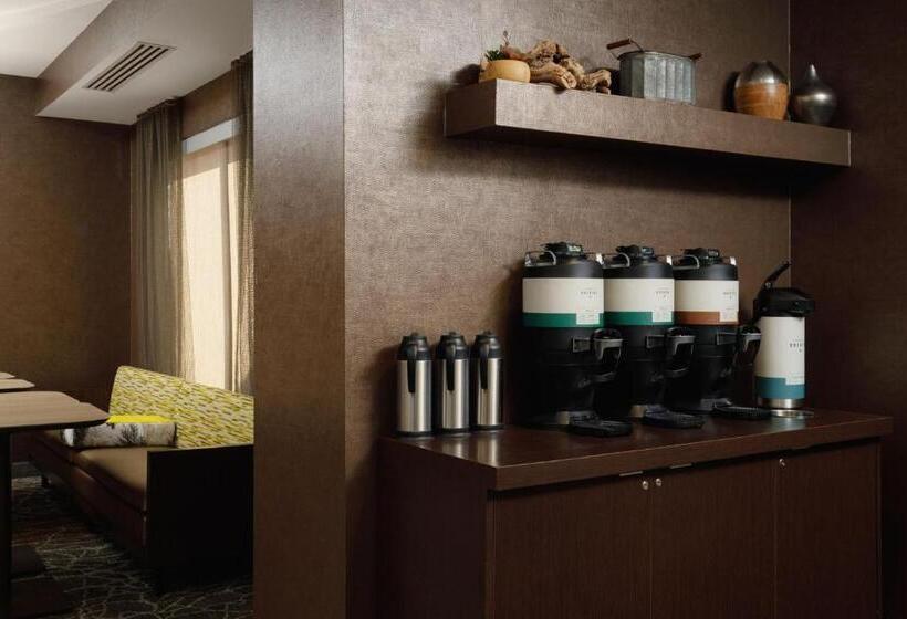 فندق Springhill Suites Knoxville At Turkey Creek