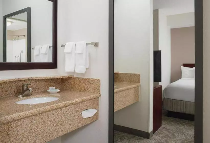 호텔 Springhill Suites Knoxville At Turkey Creek