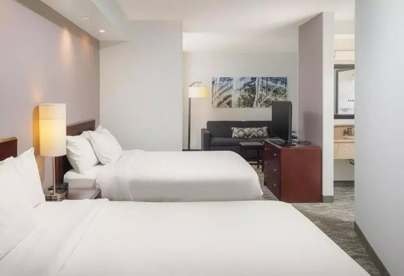 호텔 Springhill Suites Knoxville At Turkey Creek