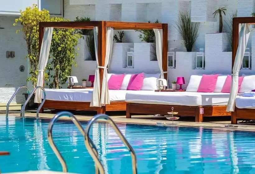 Sun City Hotel   The Gabriel