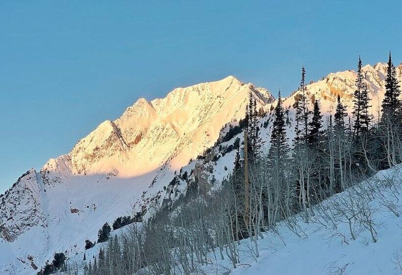 فندق The Snowpine Lodge