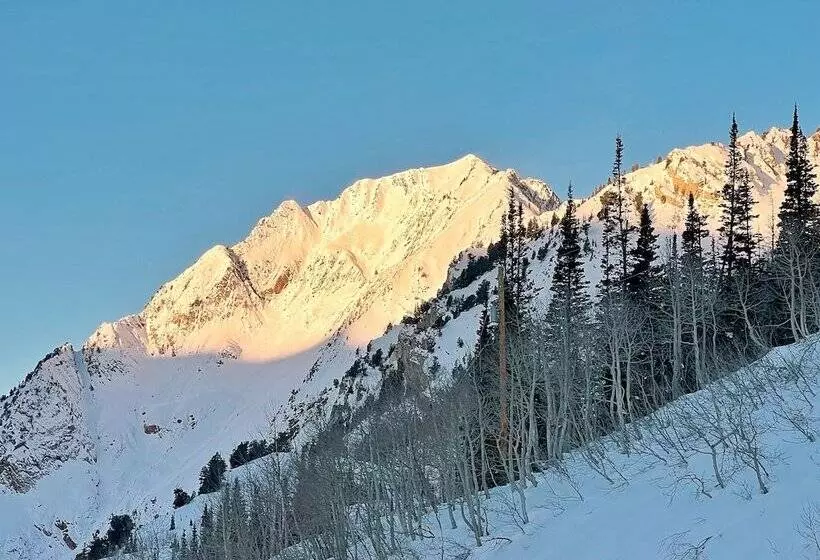 ホテル The Snowpine Lodge