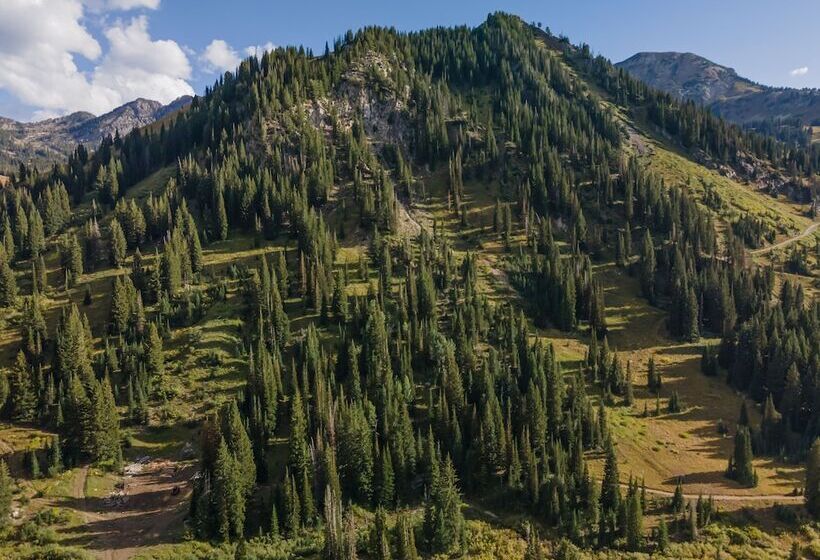 فندق The Snowpine Lodge