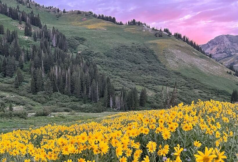 فندق The Snowpine Lodge