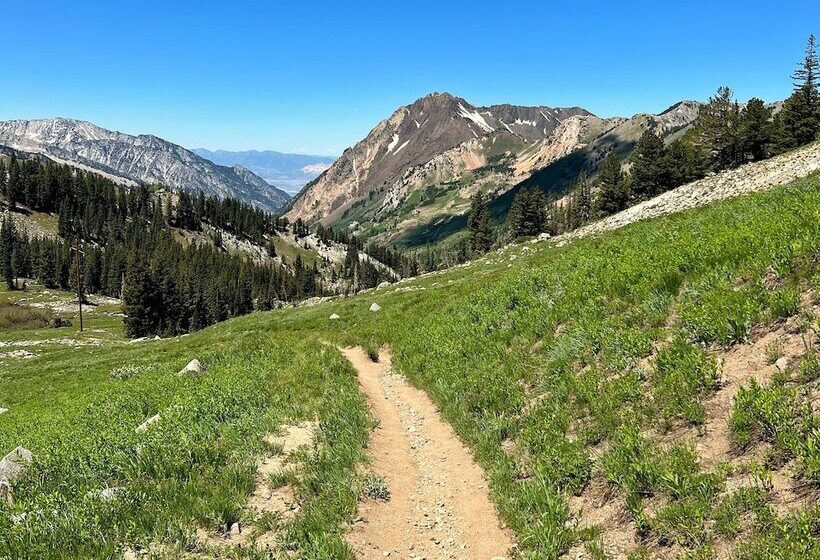 فندق The Snowpine Lodge