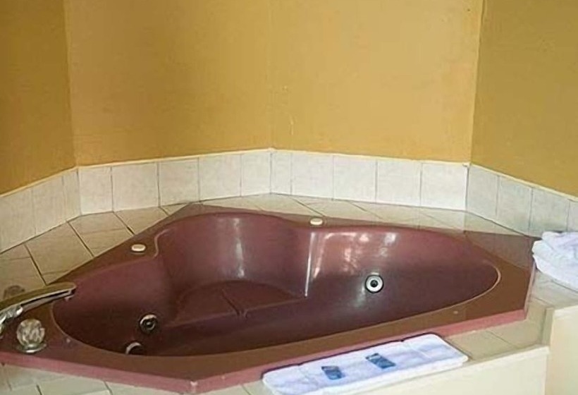 מוטל Budget Motor Lodge