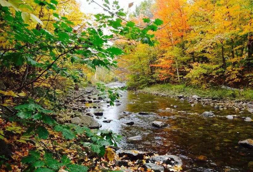 モーテル Gorham Motor Inn