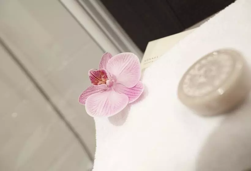 Seven Urban Suites Nantes Centre