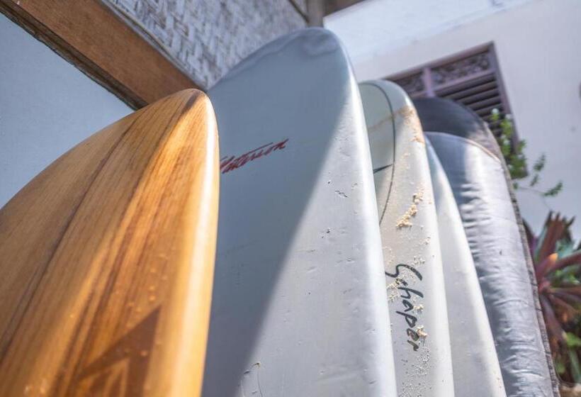 פנסיון Didi's Place