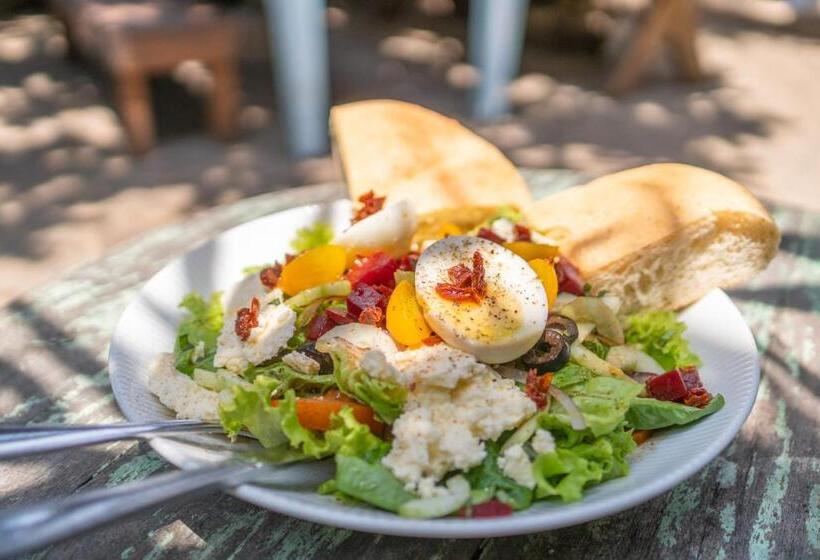 פנסיון Didi's Place