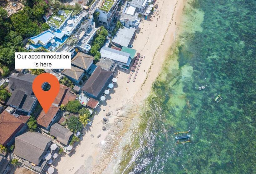 פנסיון Didi's Place