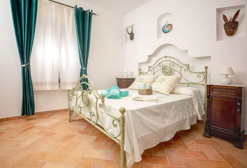 ペンション Vincent House Affittacamere