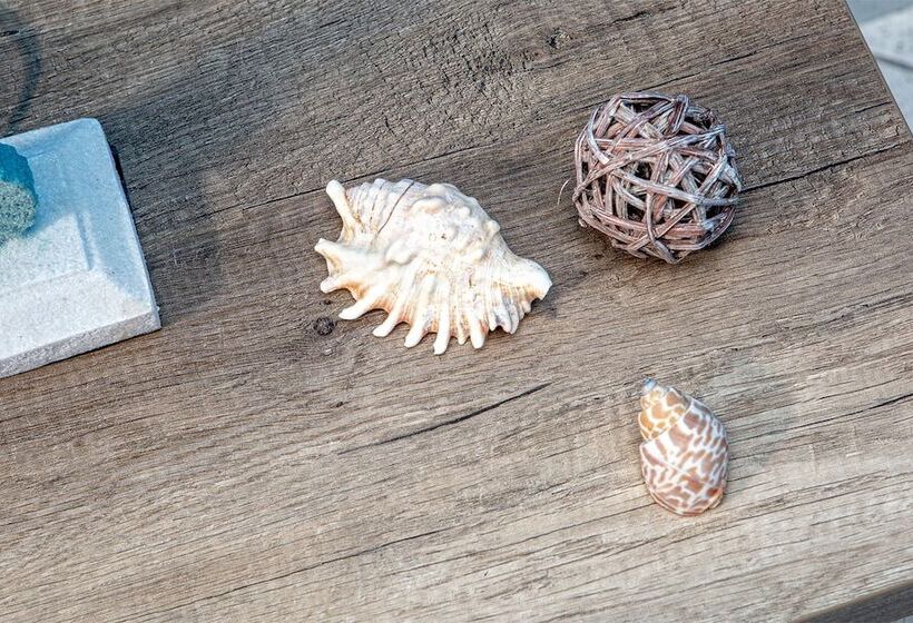 膳宿费 Vincent House Affittacamere