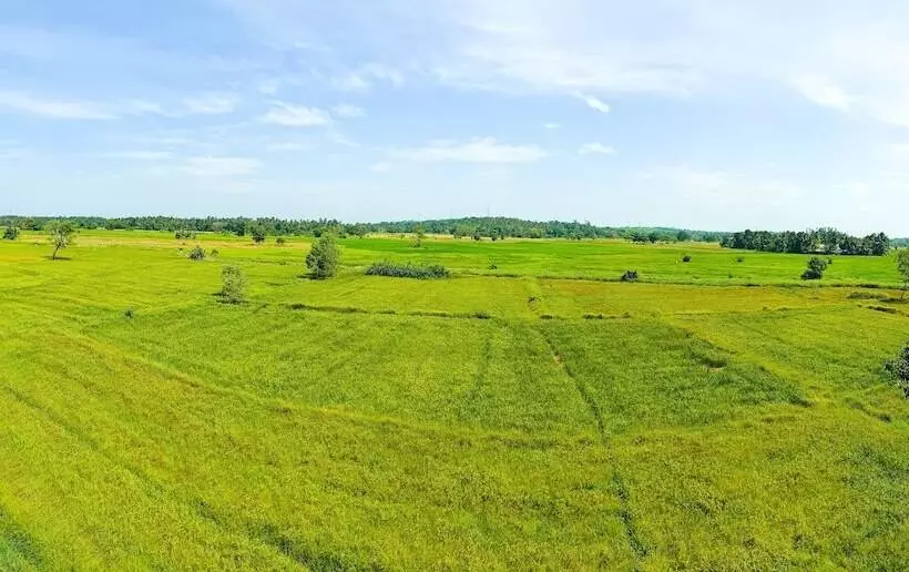 ホテル Akash Retreat And Spa