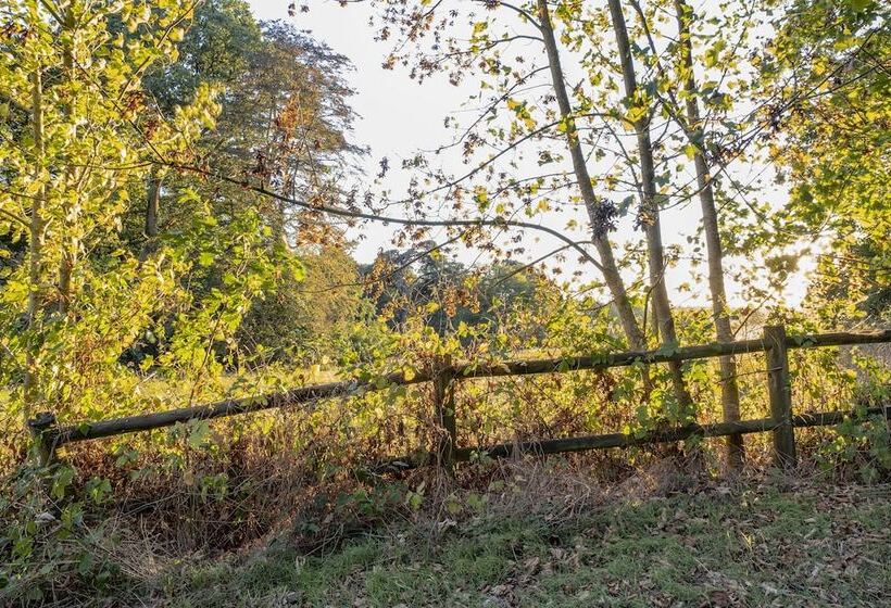 בית מלון כפרי Chateau De Tressé