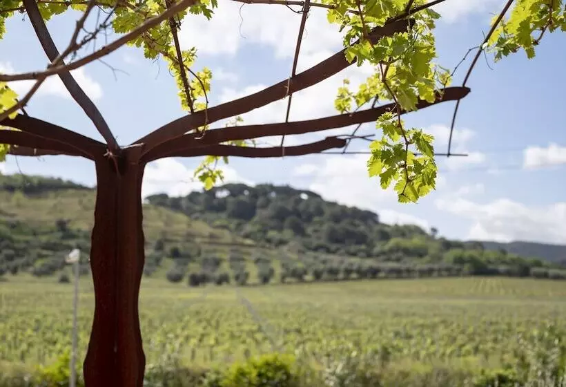 Maaseutuhotelli Il Cru Di Vignanova