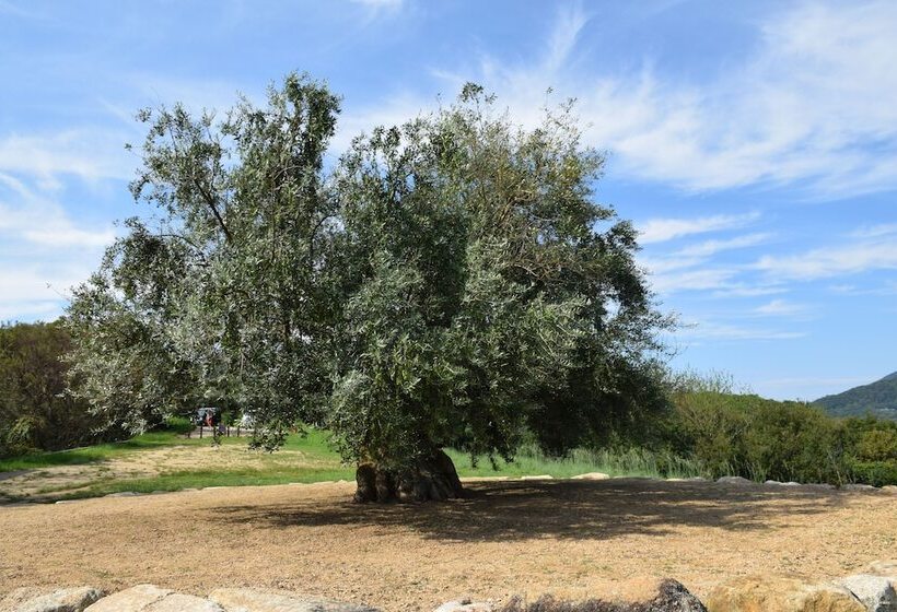 Пансион Taiyou No Ouchi