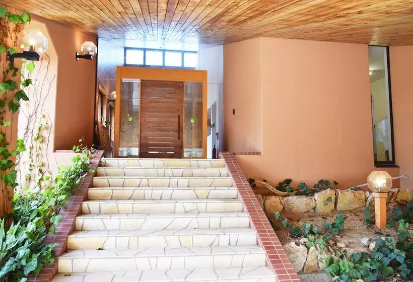 Majatalo Taiyou No Ouchi