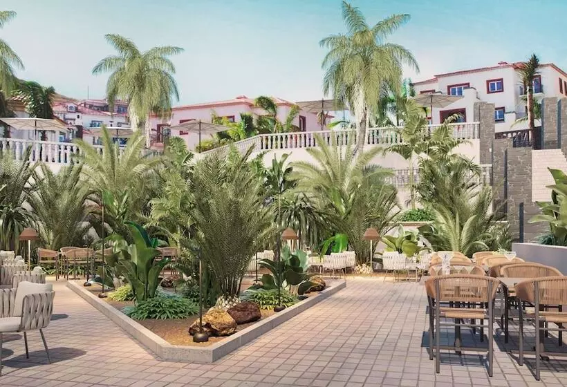 Dreams Madeira Resort Spa & Marina   All Inclusive