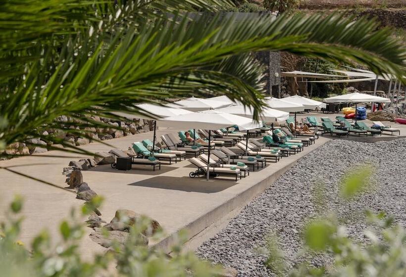 Dreams Madeira Resort Spa & Marina   All Inclusive