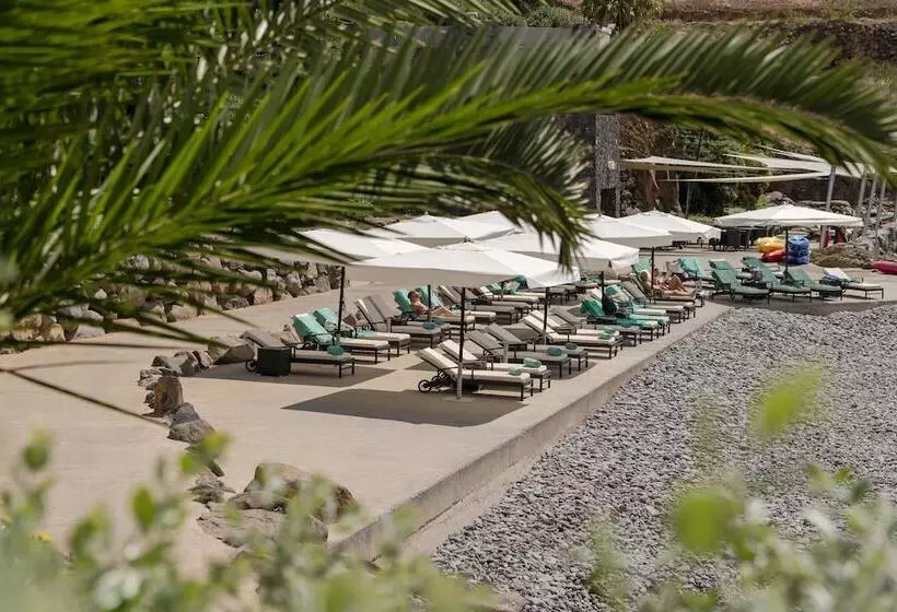 Dreams Madeira Resort Spa & Marina   All Inclusive