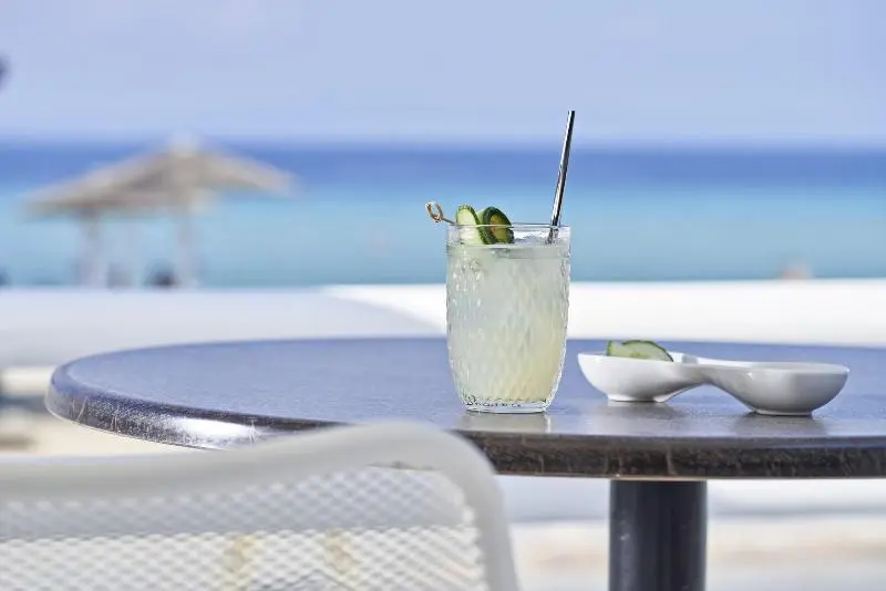 ホテル Antigoni Seaside Resort
