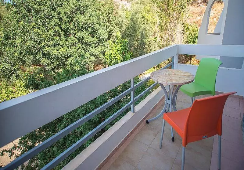 בית מלון כפרי Megim