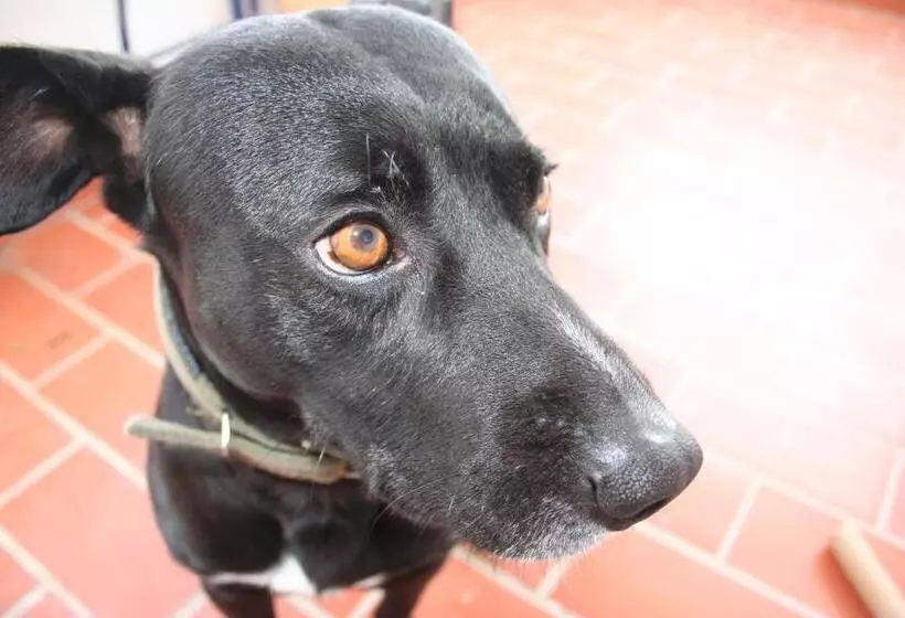 هتل Posada La Casa Grande