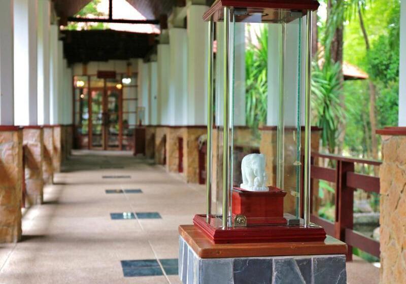 Sappraiwan Elephant Resort & Sanctuary