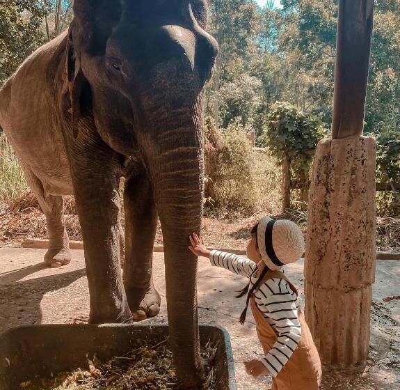 Sappraiwan Elephant Resort & Sanctuary