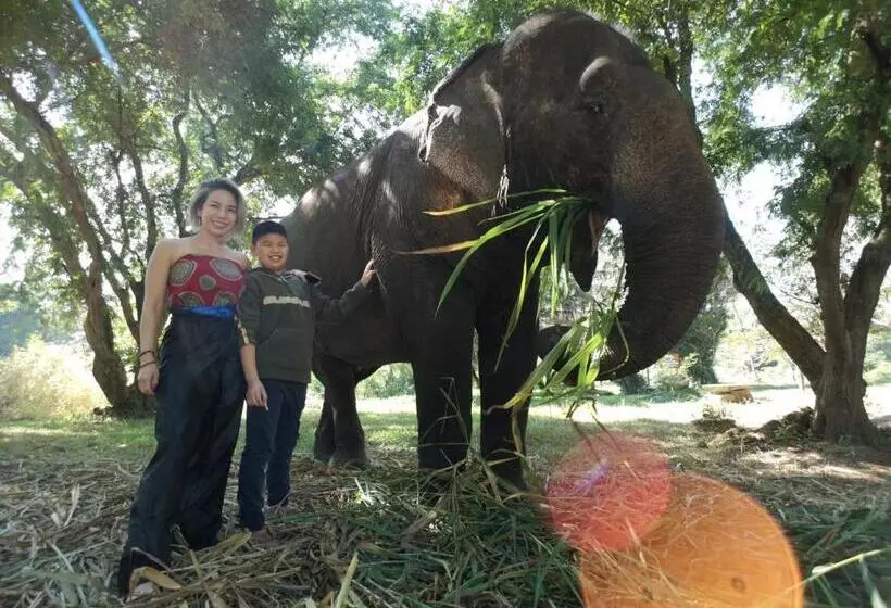 Sappraiwan Elephant Resort & Sanctuary
