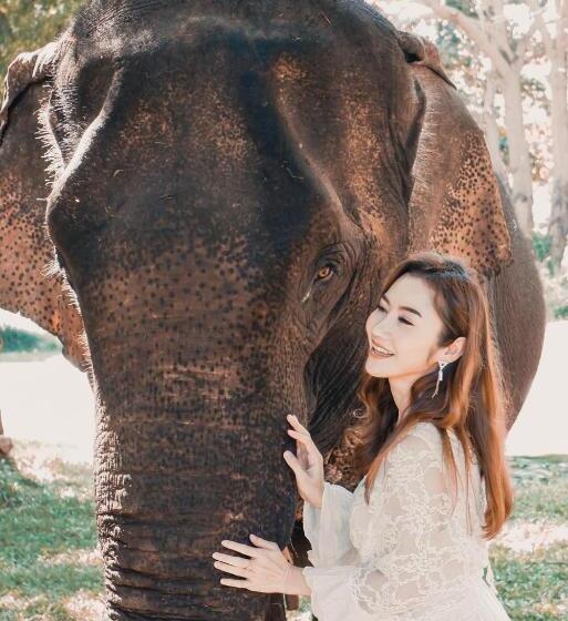 Sappraiwan Elephant Resort & Sanctuary