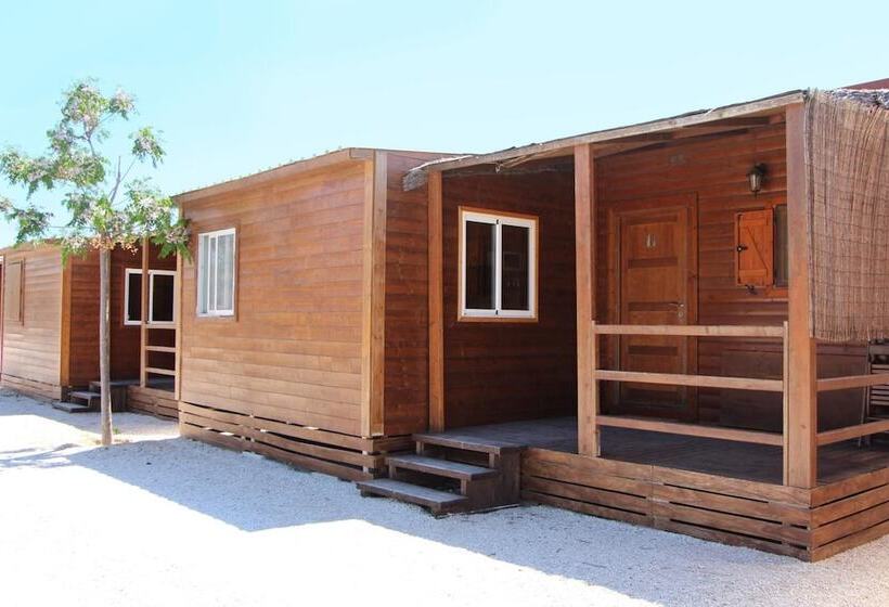 Bungalows Park Albufera