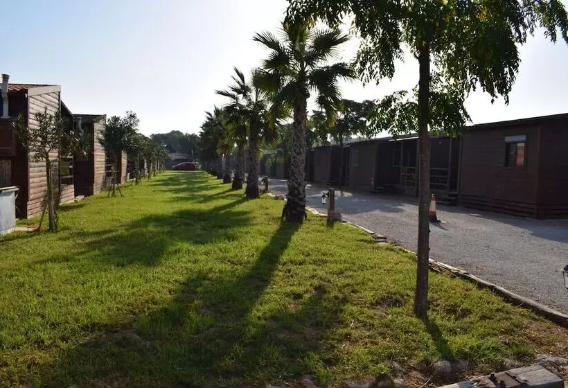 Bungalows Park Albufera