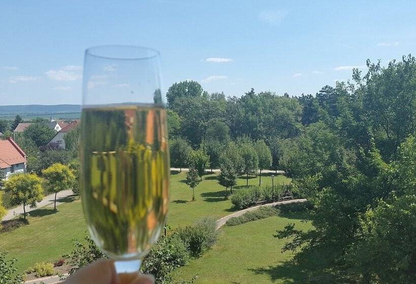 Hotel Abacus Business & Wellness